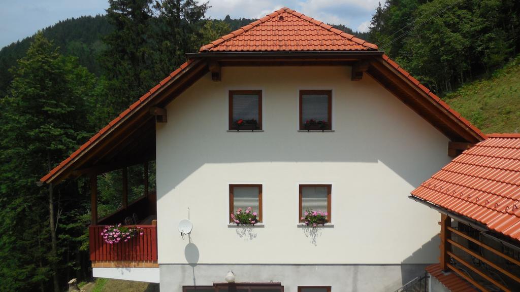 Apartments Savinja Luče Extérieur photo