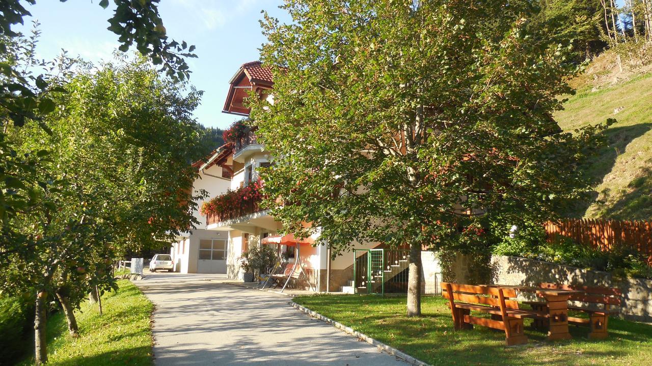 Apartments Savinja Luče Extérieur photo