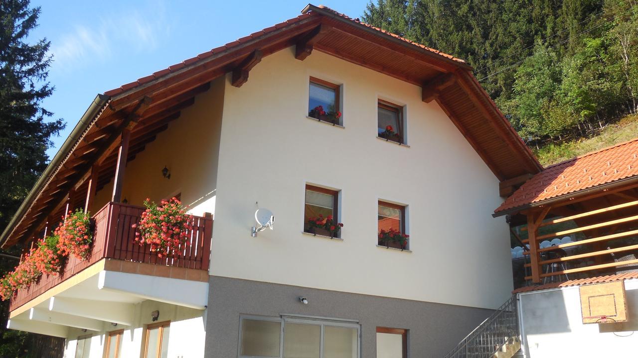 Apartments Savinja Luče Extérieur photo