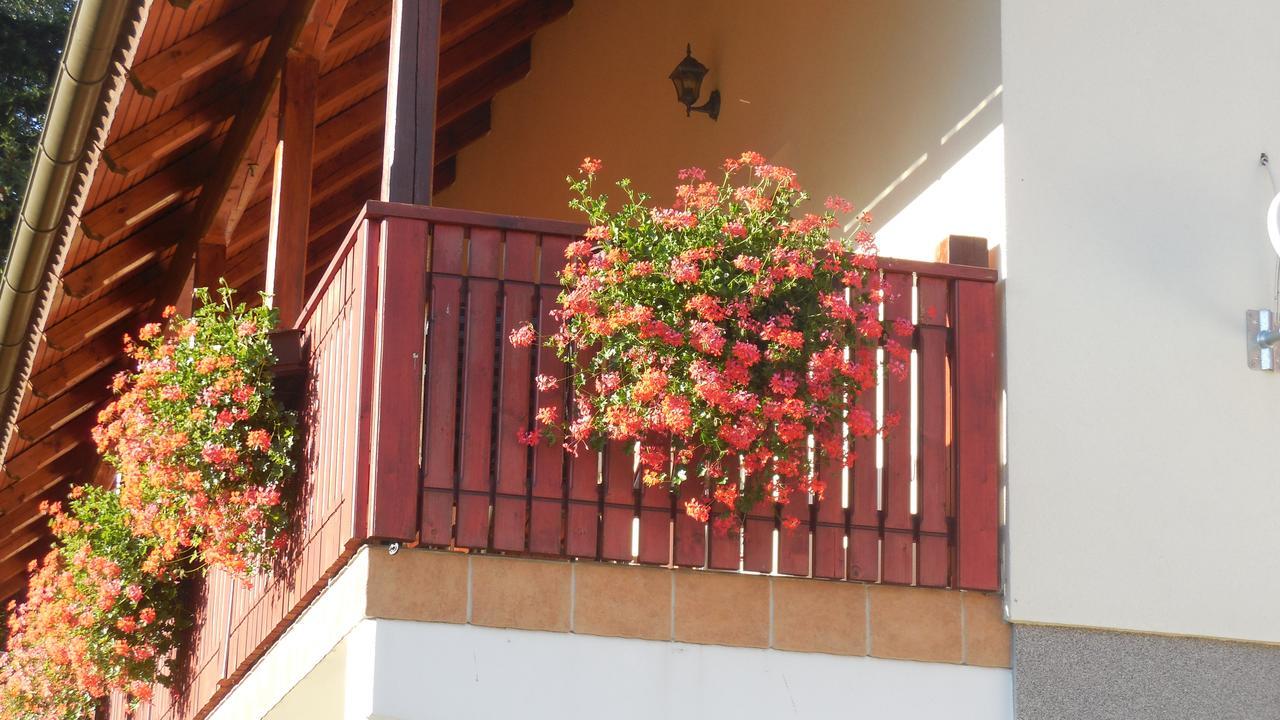 Apartments Savinja Luče Extérieur photo
